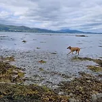 Mountain And Sea Views Carlingford