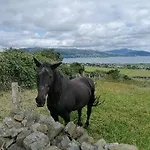 Mountain And Sea Views * 칼링포드