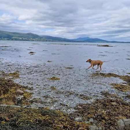 Mountain And Sea Views Карлингфорд