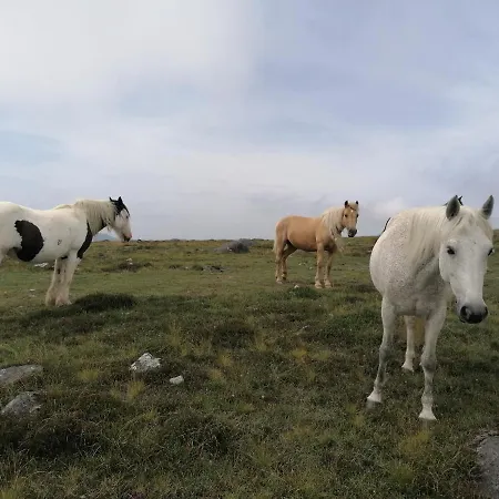 Mountain And Sea Views