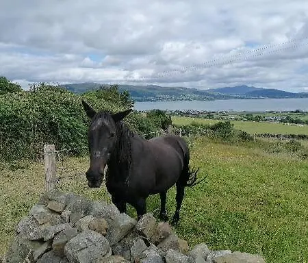Mountain And Sea Views * Карлингфорд