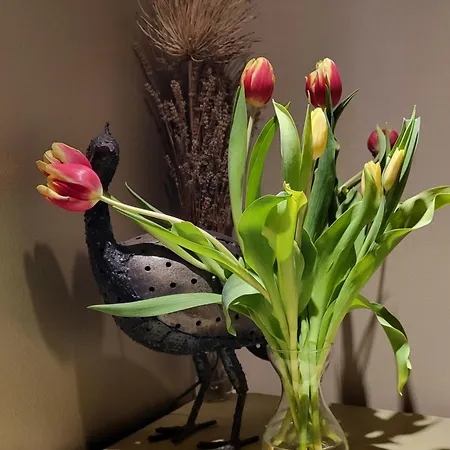 Mountain And Sea Views *