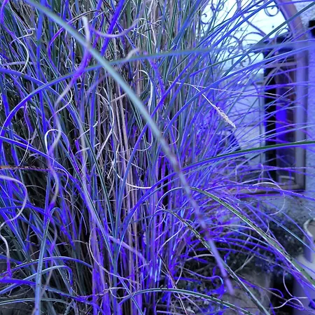 Mountain And Sea Views Карлингфорд